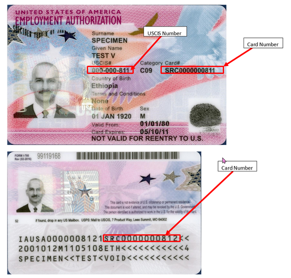 I-9 Document Examples